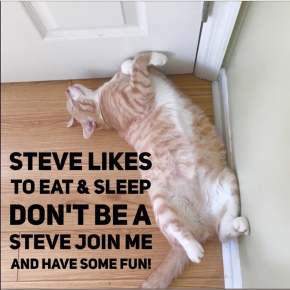 THURSDAY MARCH 8TH AT 12PM PST - Picture 2 of 2